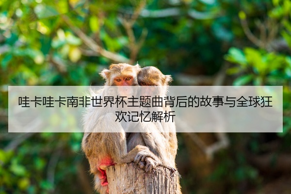 哇卡哇卡南非世界杯主题曲背后的故事与全球狂欢记忆解析