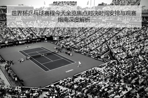 世界杯乒乓球赛程今天全览焦点对决时间安排与观赛指南深度解析