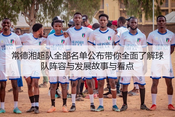 常德湘超队全部名单公布带你全面了解球队阵容与发展故事与看点