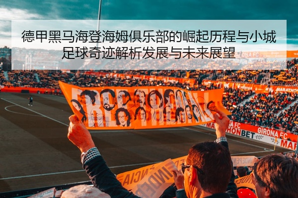 德甲黑马海登海姆俱乐部的崛起历程与小城足球奇迹解析发展与未来展望
