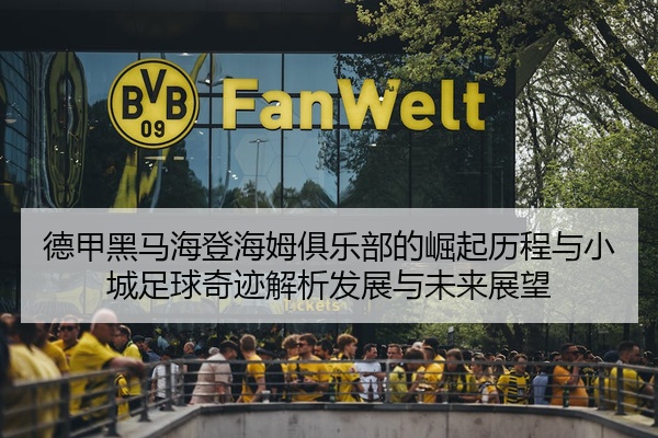 德甲黑马海登海姆俱乐部的崛起历程与小城足球奇迹解析发展与未来展望
