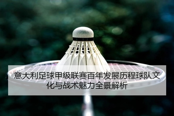 意大利足球甲级联赛百年发展历程球队文化与战术魅力全景解析