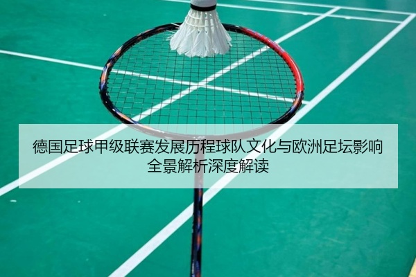 德国足球甲级联赛发展历程球队文化与欧洲足坛影响全景解析深度解读