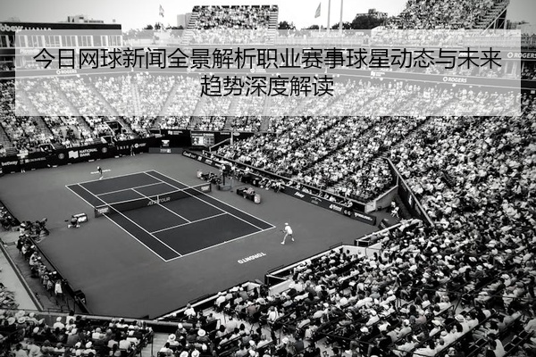 今日网球新闻全景解析职业赛事球星动态与未来趋势深度解读