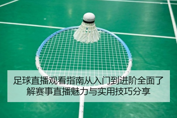 足球直播观看指南从入门到进阶全面了解赛事直播魅力与实用技巧分享