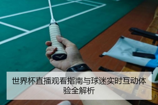 世界杯直播观看指南与球迷实时互动体验全解析