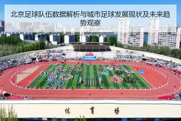 北京足球队伍数据解析与城市足球发展现状及未来趋势观察