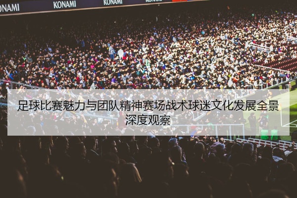 足球比赛魅力与团队精神赛场战术球迷文化发展全景深度观察